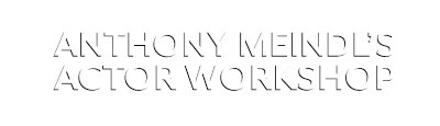 Anthony Meindl's Actor Workshop